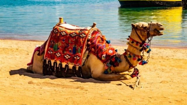 All Inclusive Почивка в Шарм ел Шейх - Лято-Есен 2026 - полет от София