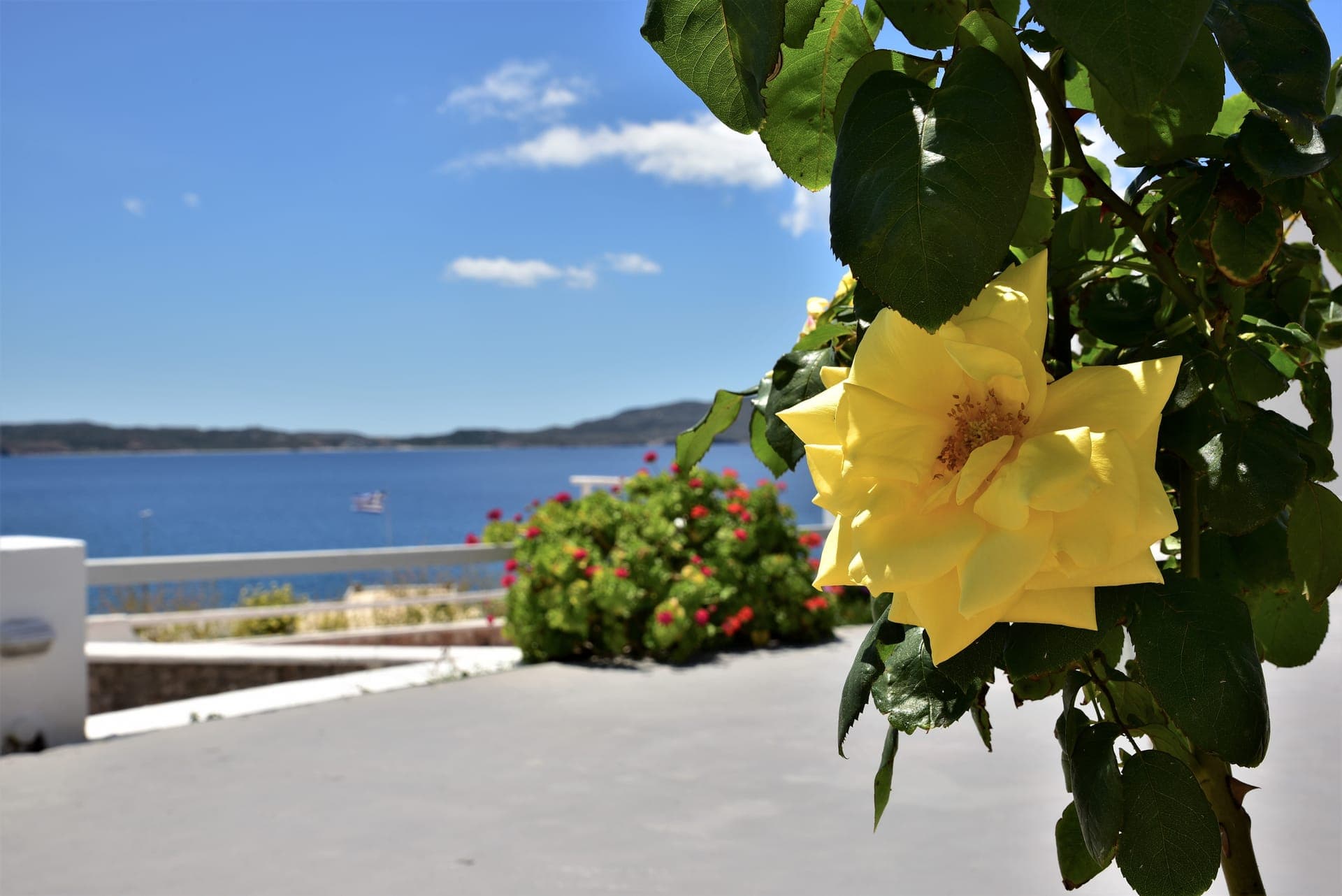 Adamas Hotel