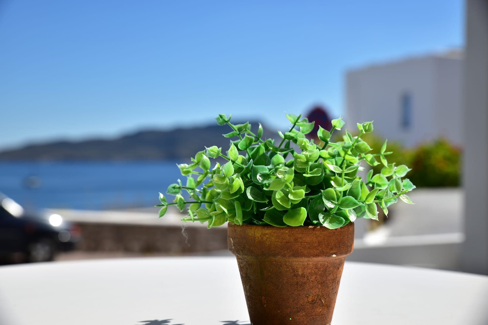 Adamas Hotel
