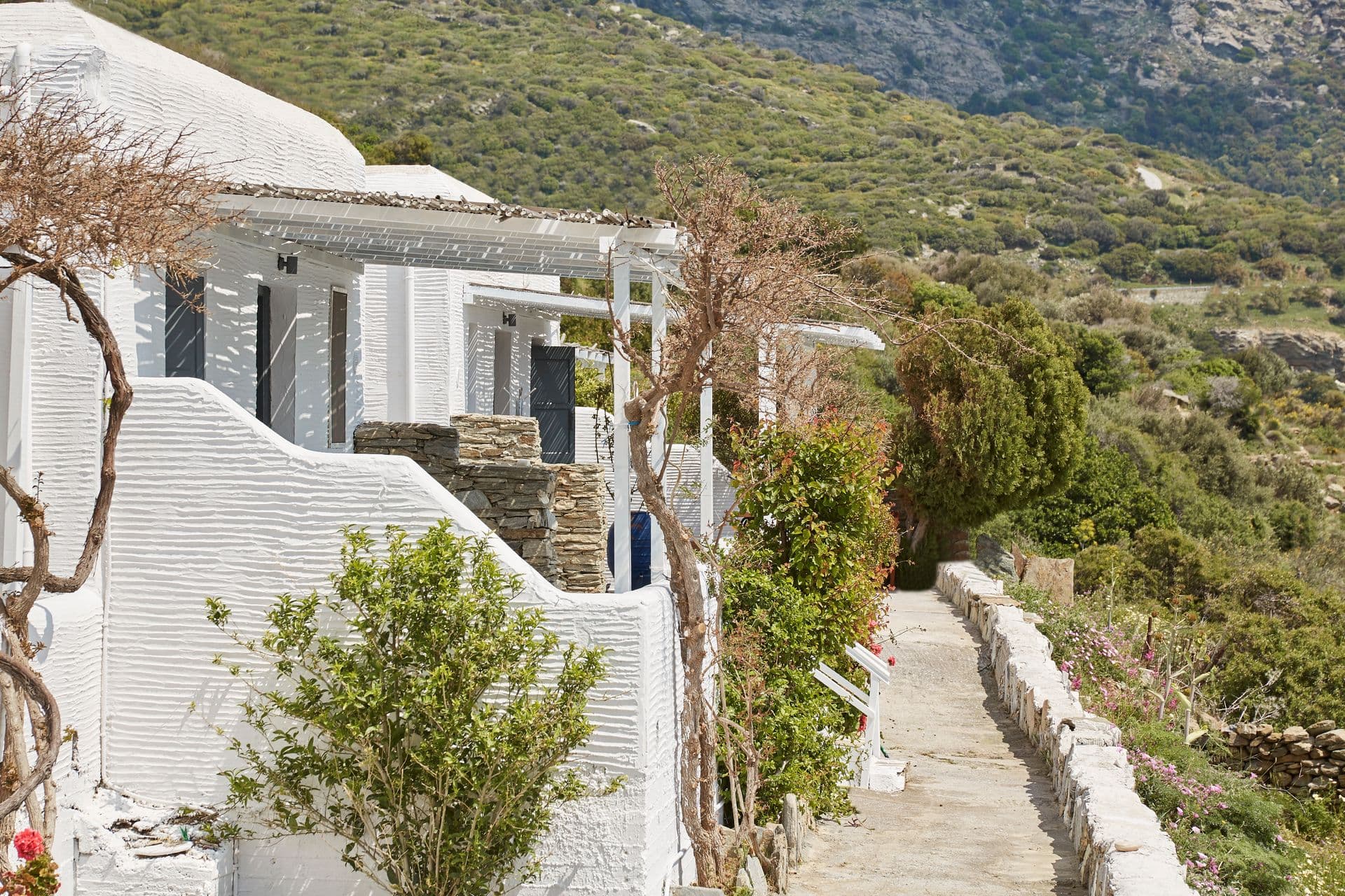 Agnanti Apartments Andros