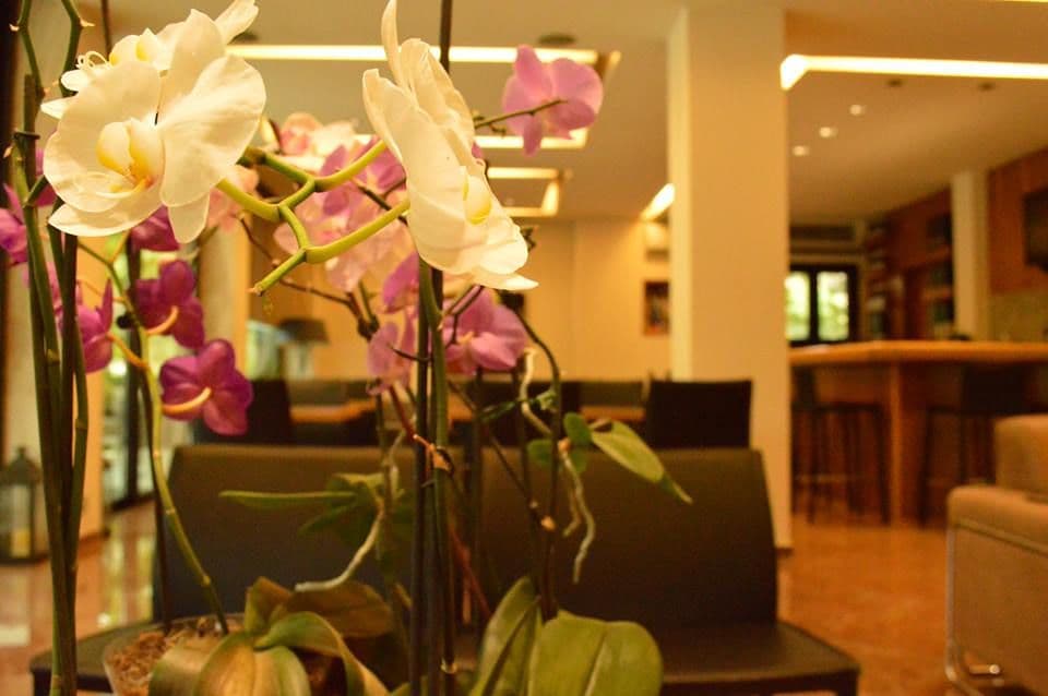 Alexakis Hotel & Spa