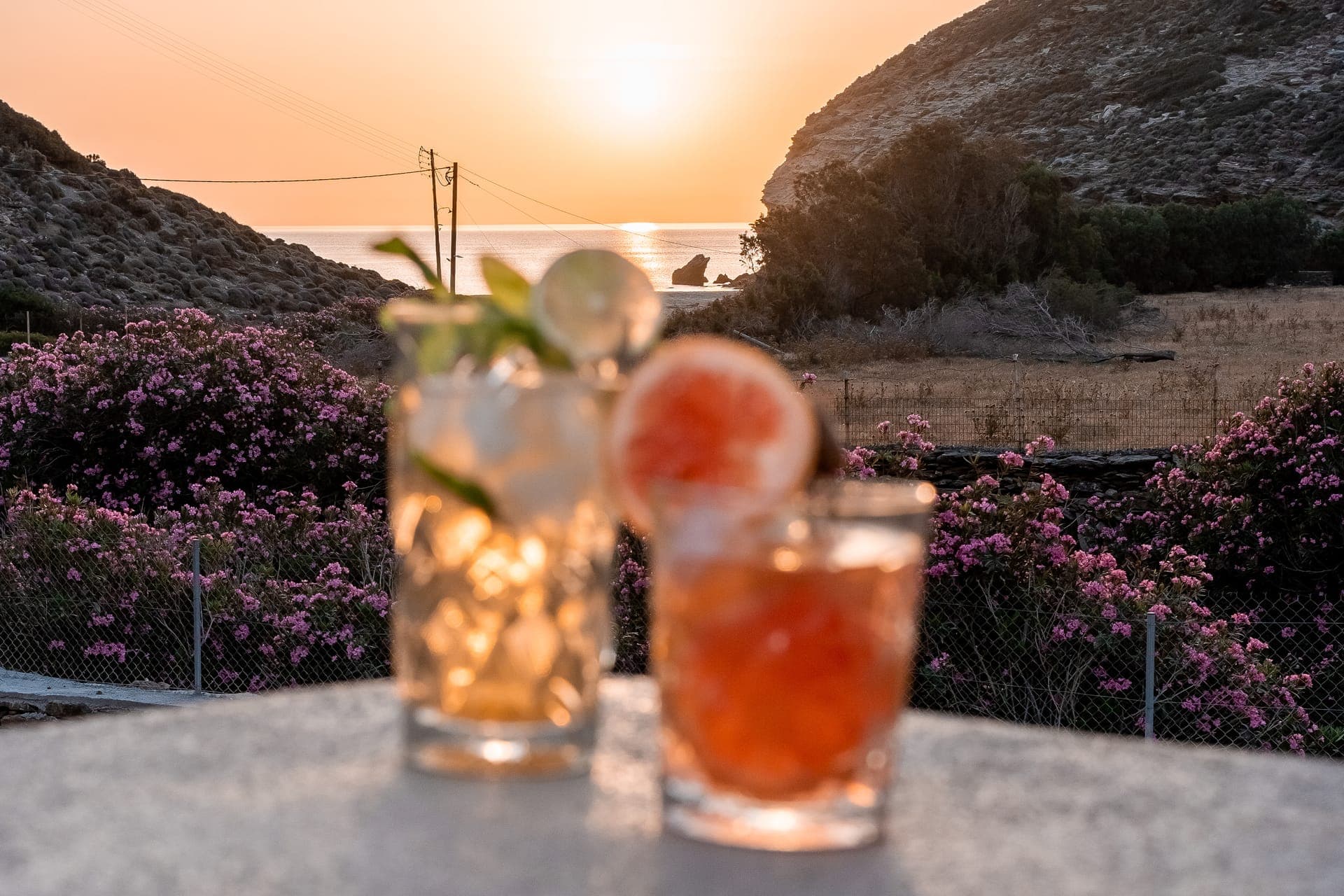 Alia Andros