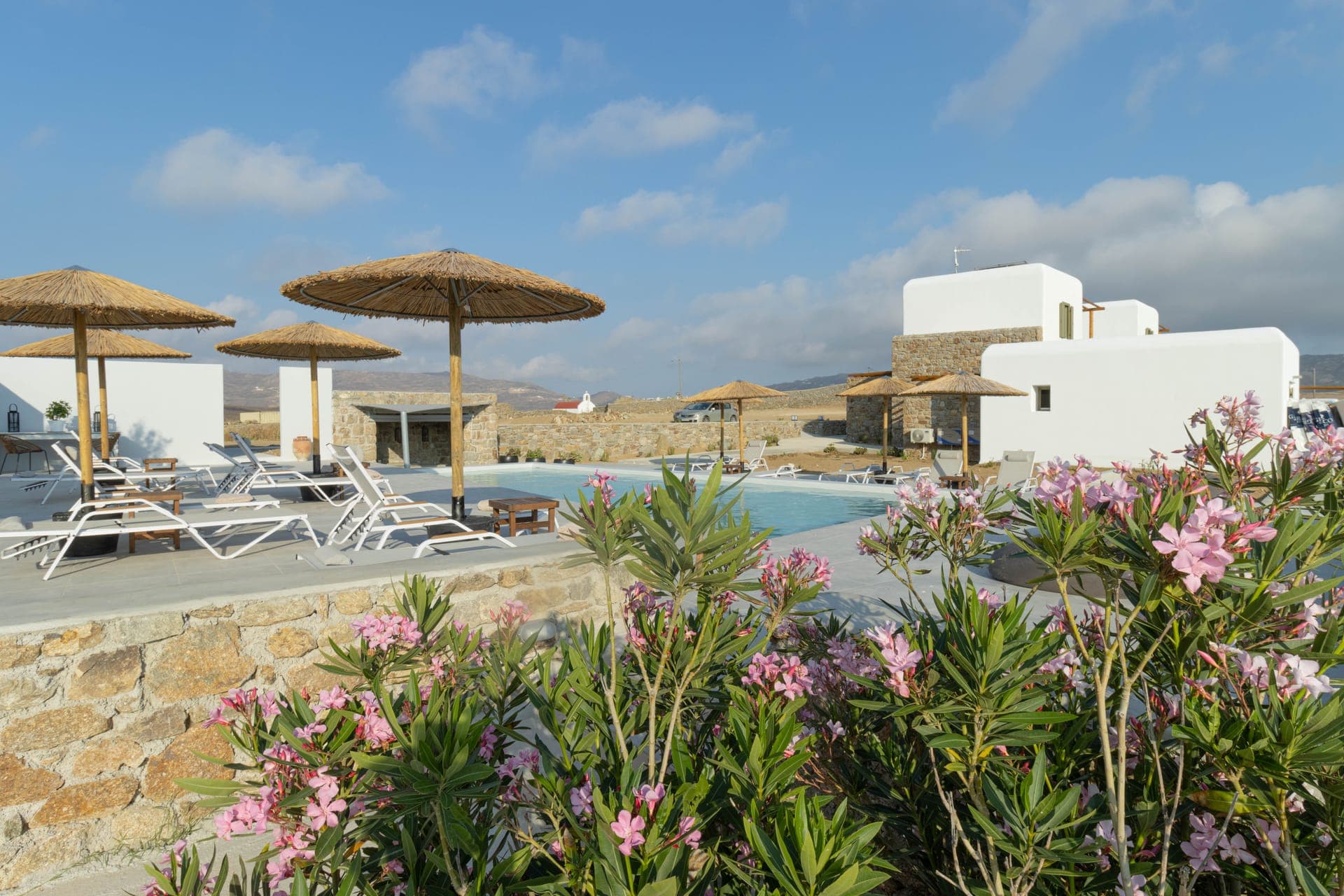 Alirene Mykonos
