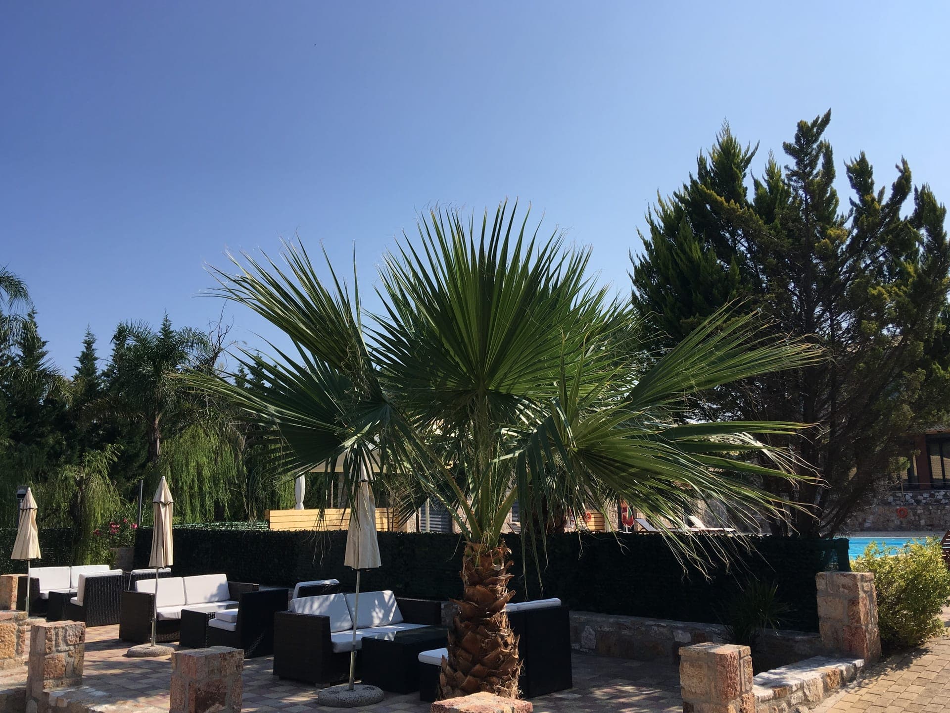 Almyra Holiday Village