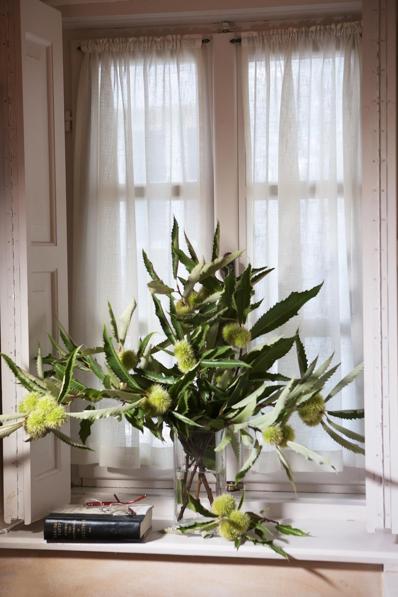 Amaryllis Boutique Guest House