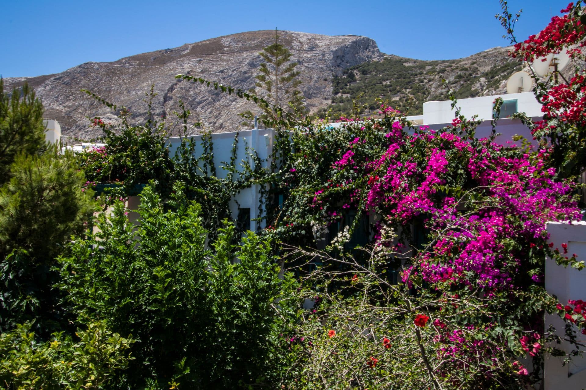 Andreas Hotel Santorini