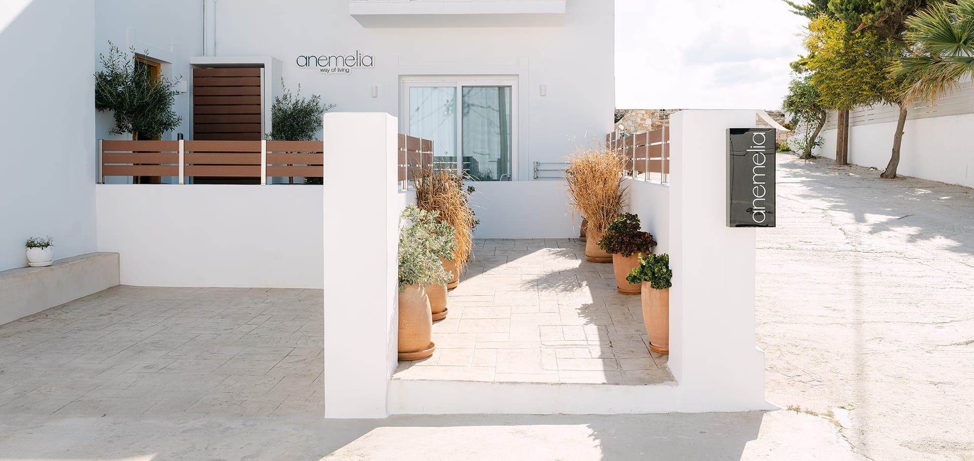 Anemelia Way of Living