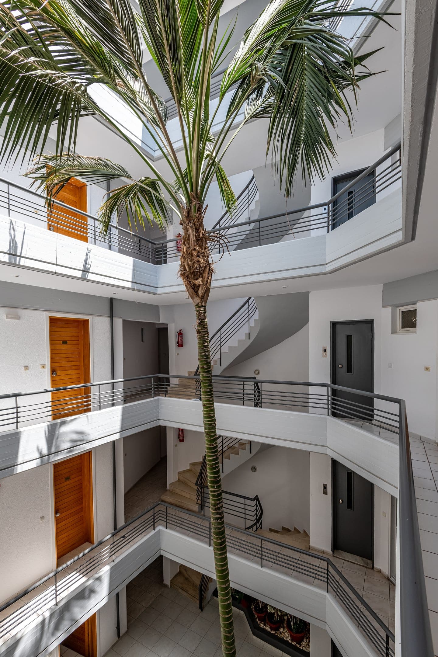 ANGELA  APARTMENTS
