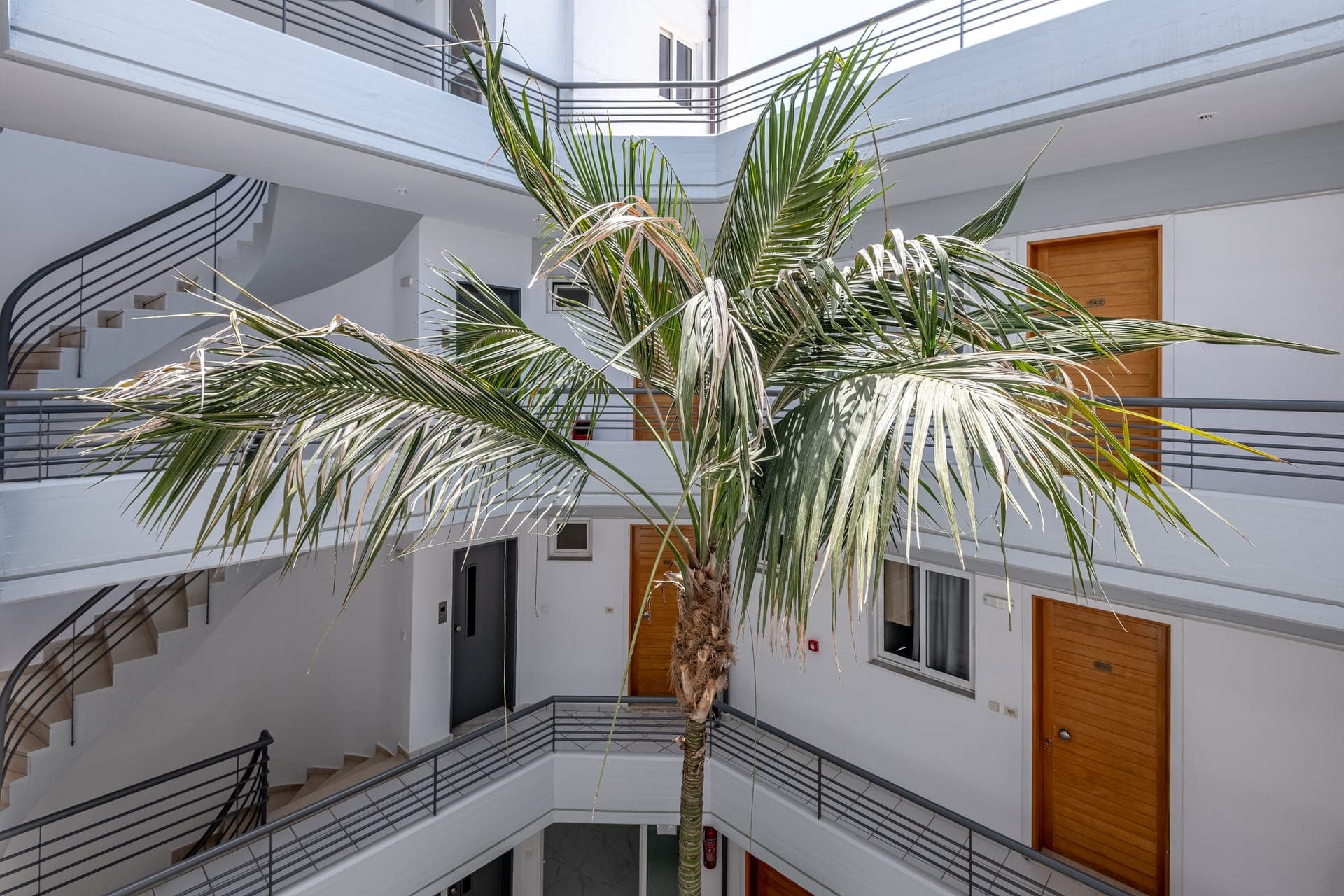 ANGELA  APARTMENTS