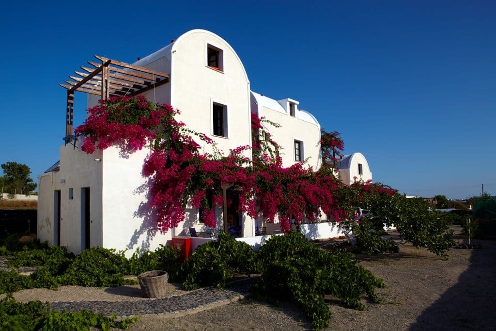 Anna Traditional Apartments Santorini