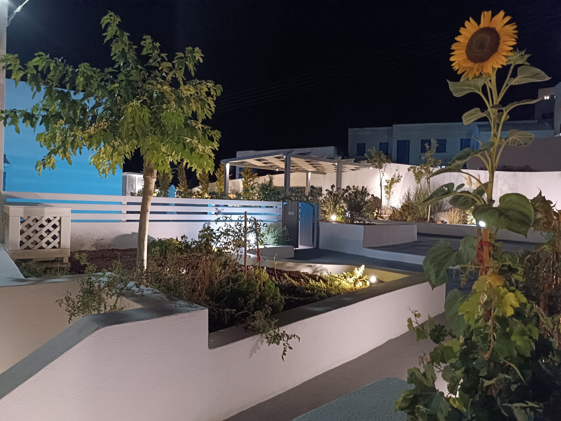 Anthemis Suites