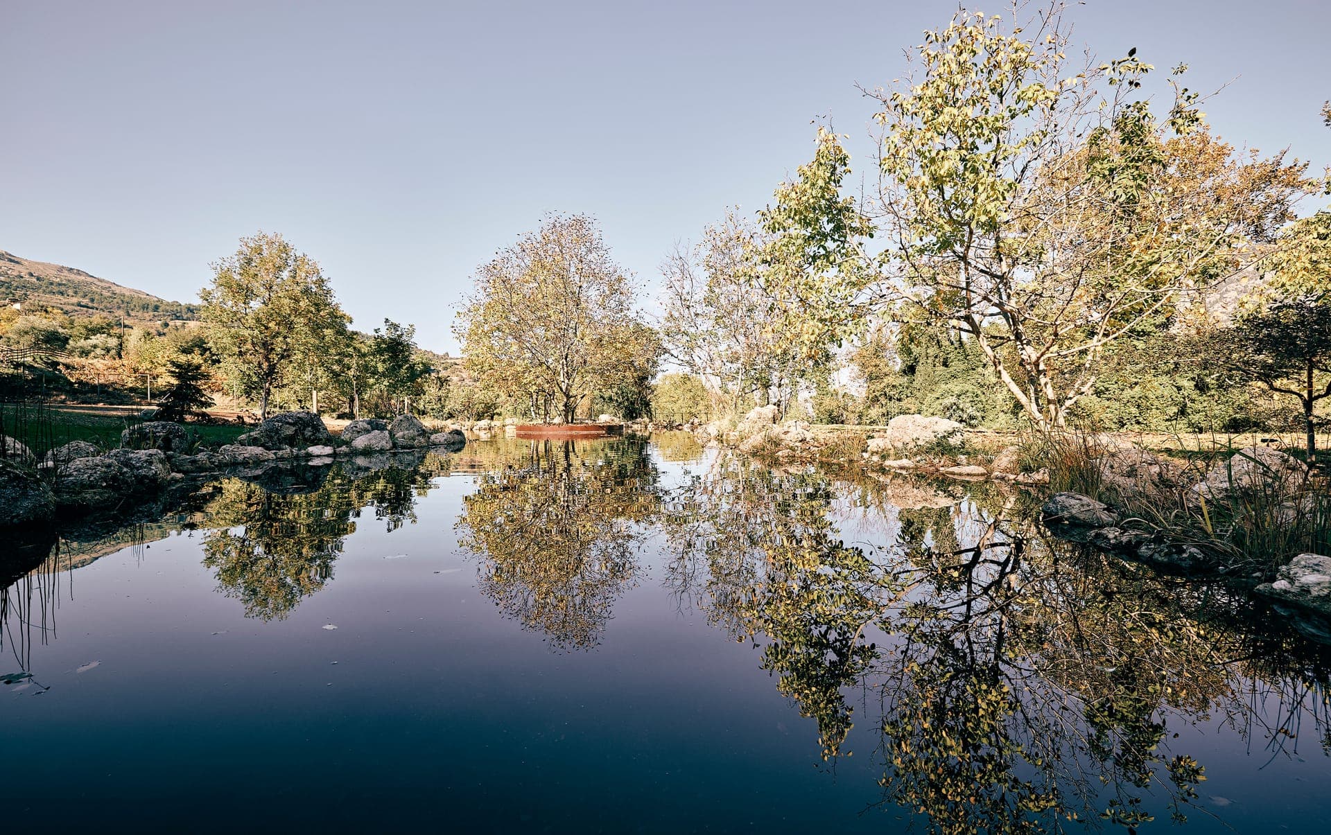 Area Synest Nature Suites