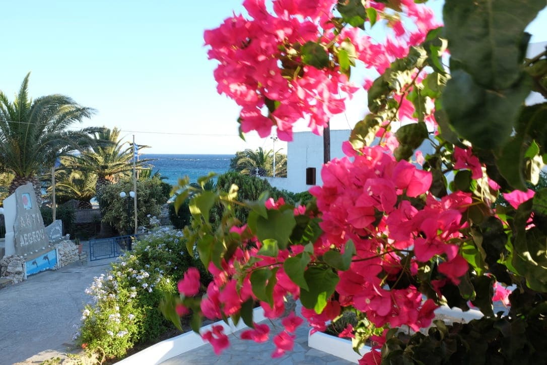 Ark Tinos