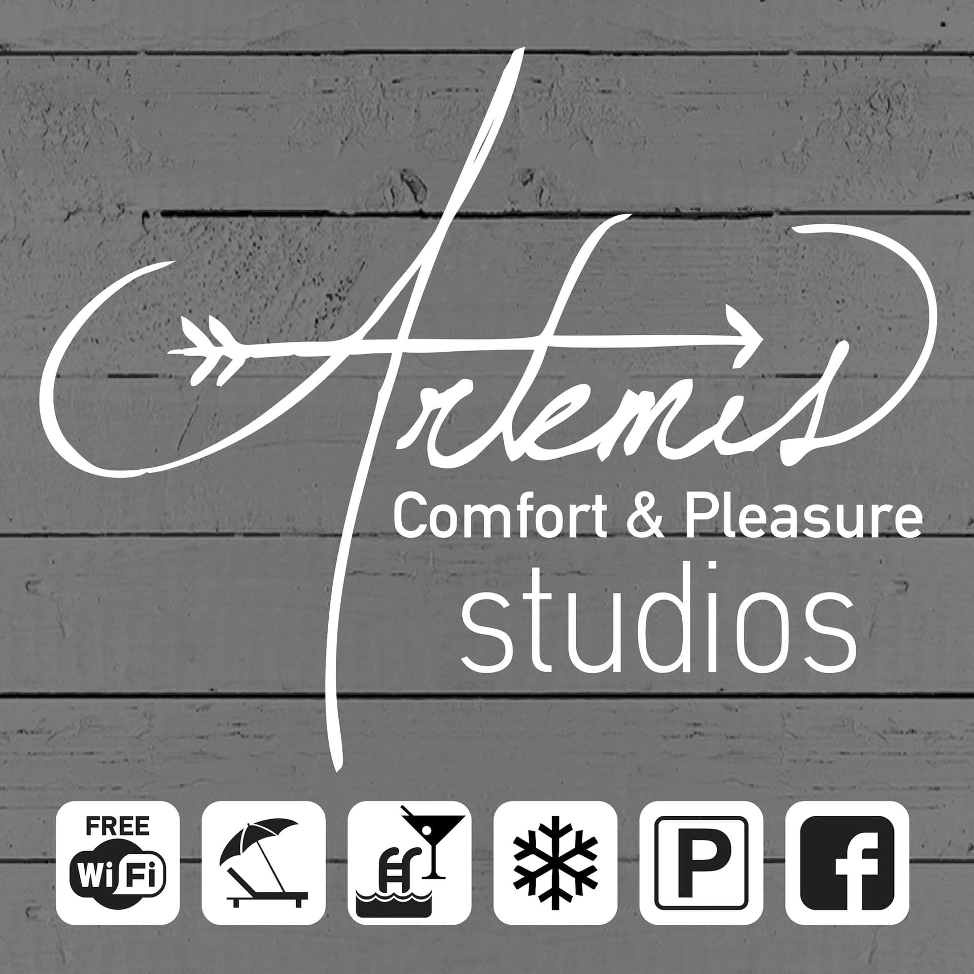 Artemis Comfort & Pleasure
