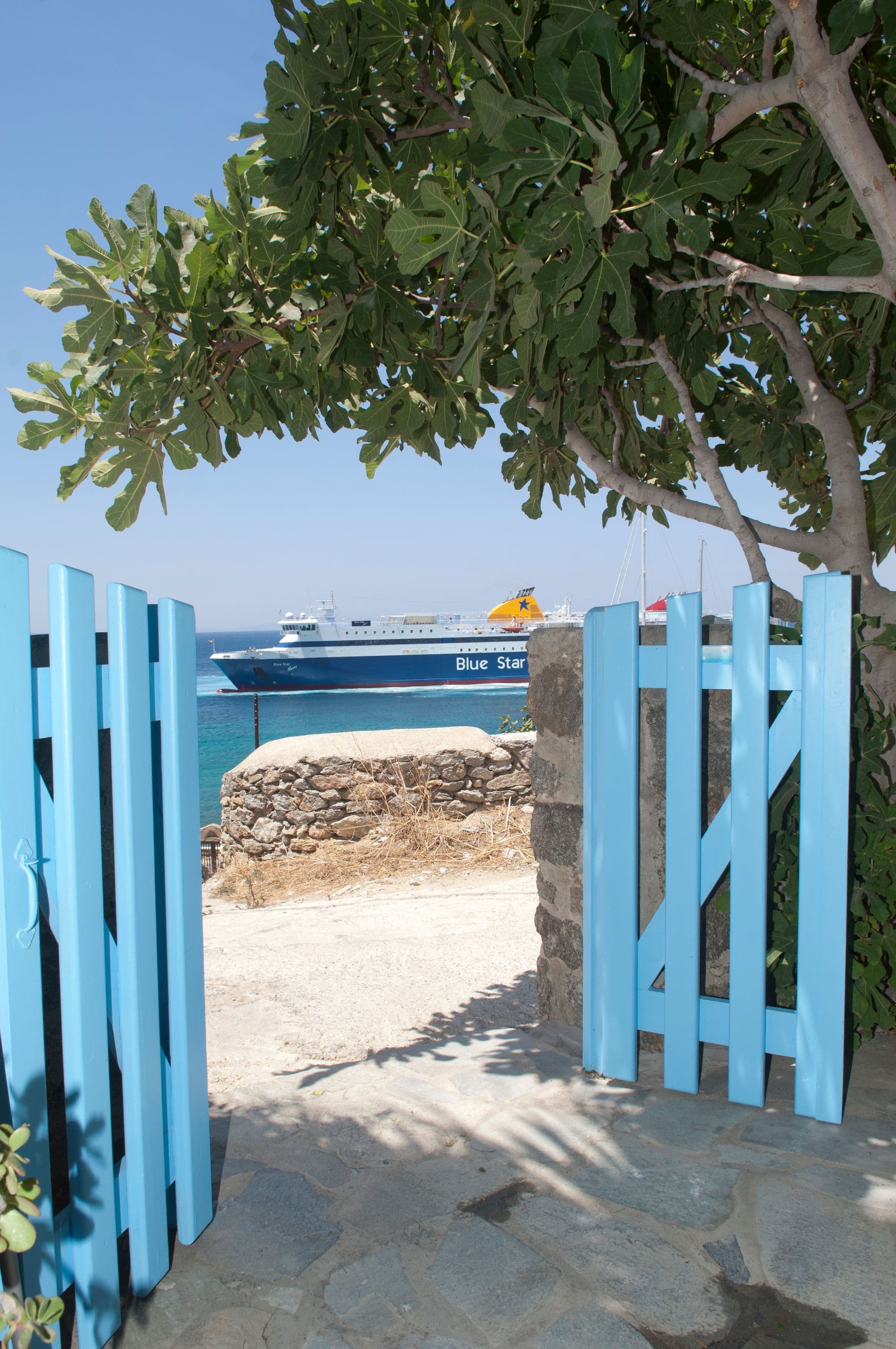 Asimina Mykonos