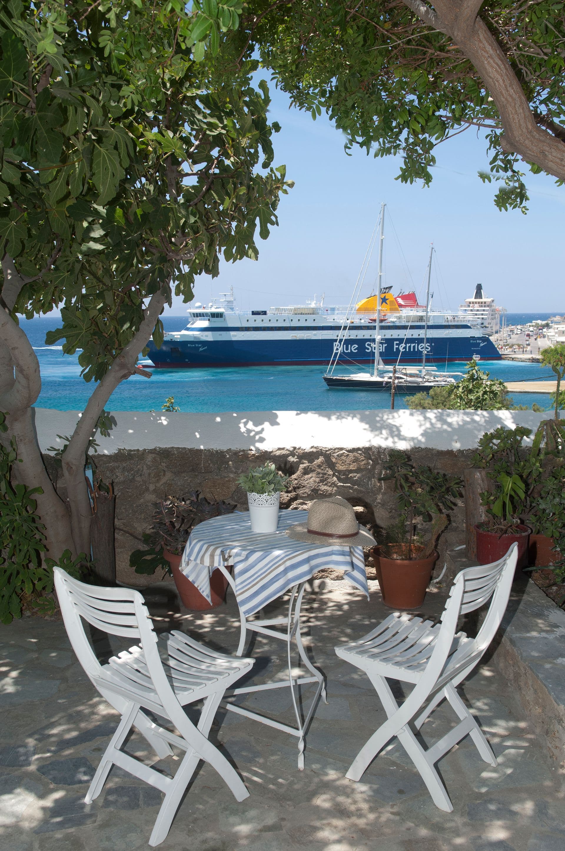 Asimina Mykonos