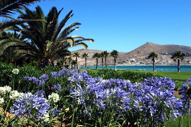 Astir of Paros Hotel