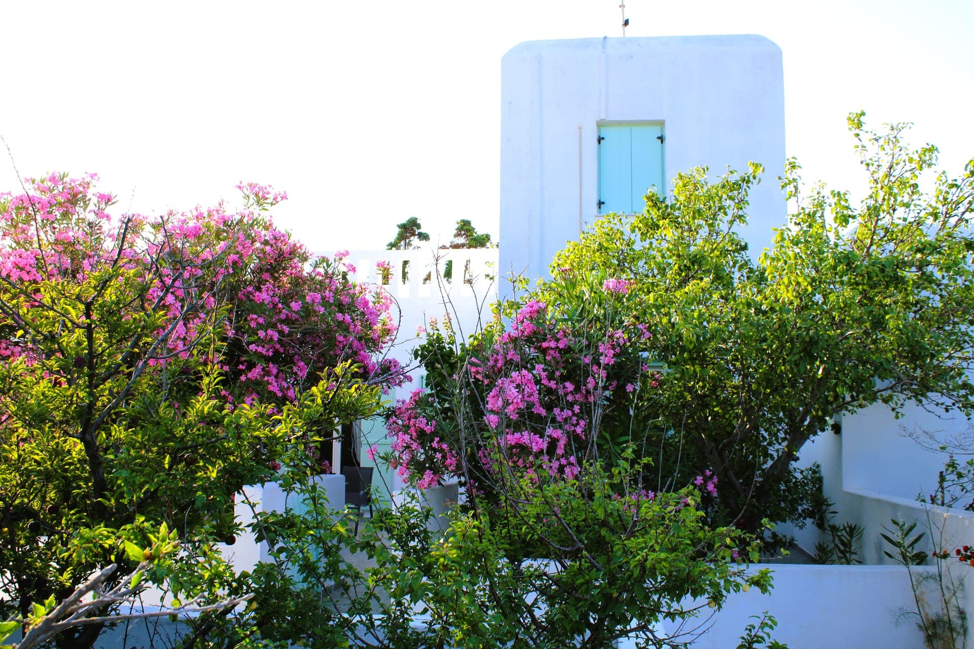 Astypalea Villas