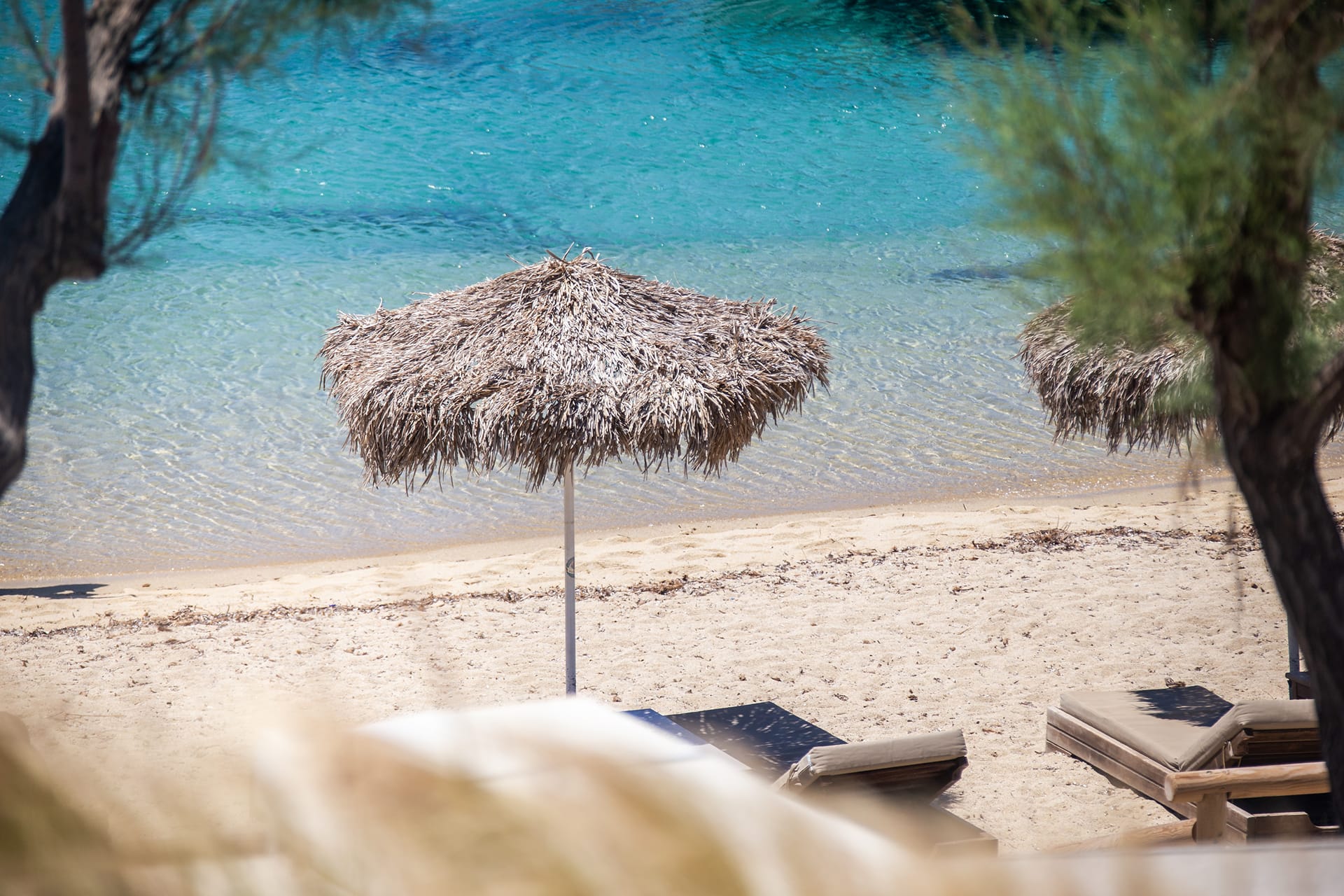 Avgoustos Suites