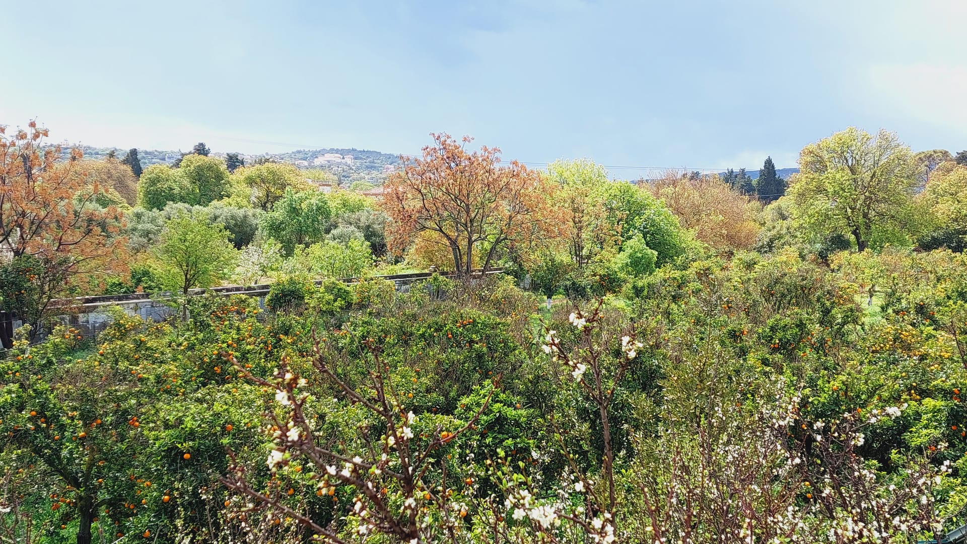 Bella Cisterna
