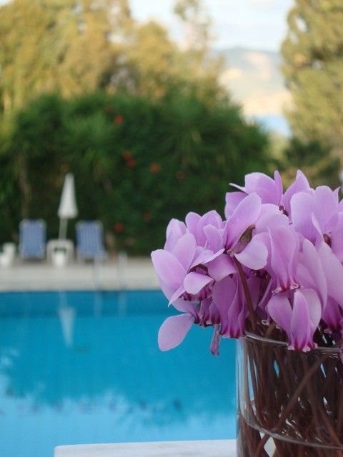 Castelli Hotel Zante
