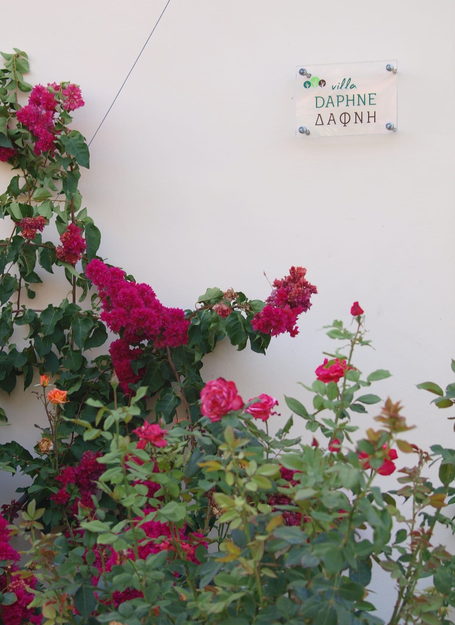 Chania Village