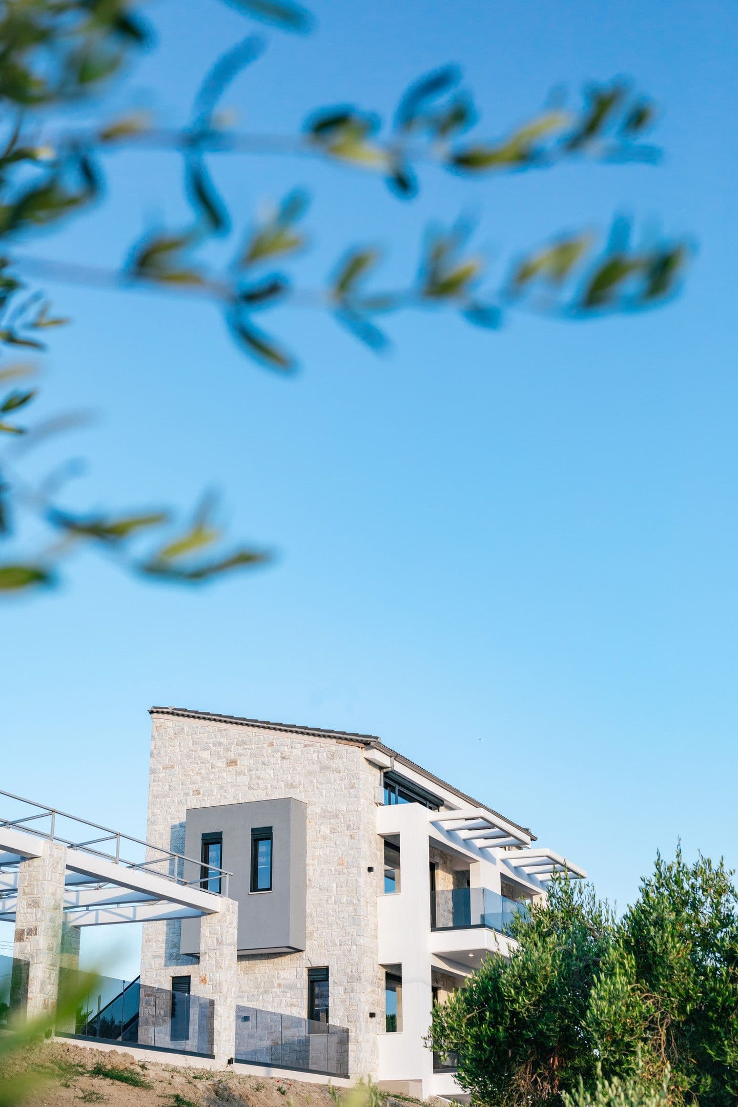 Cocooning Suites by Blue Carpet