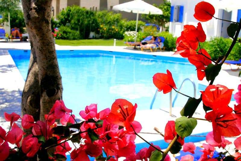 Dedalos Studios Naxos