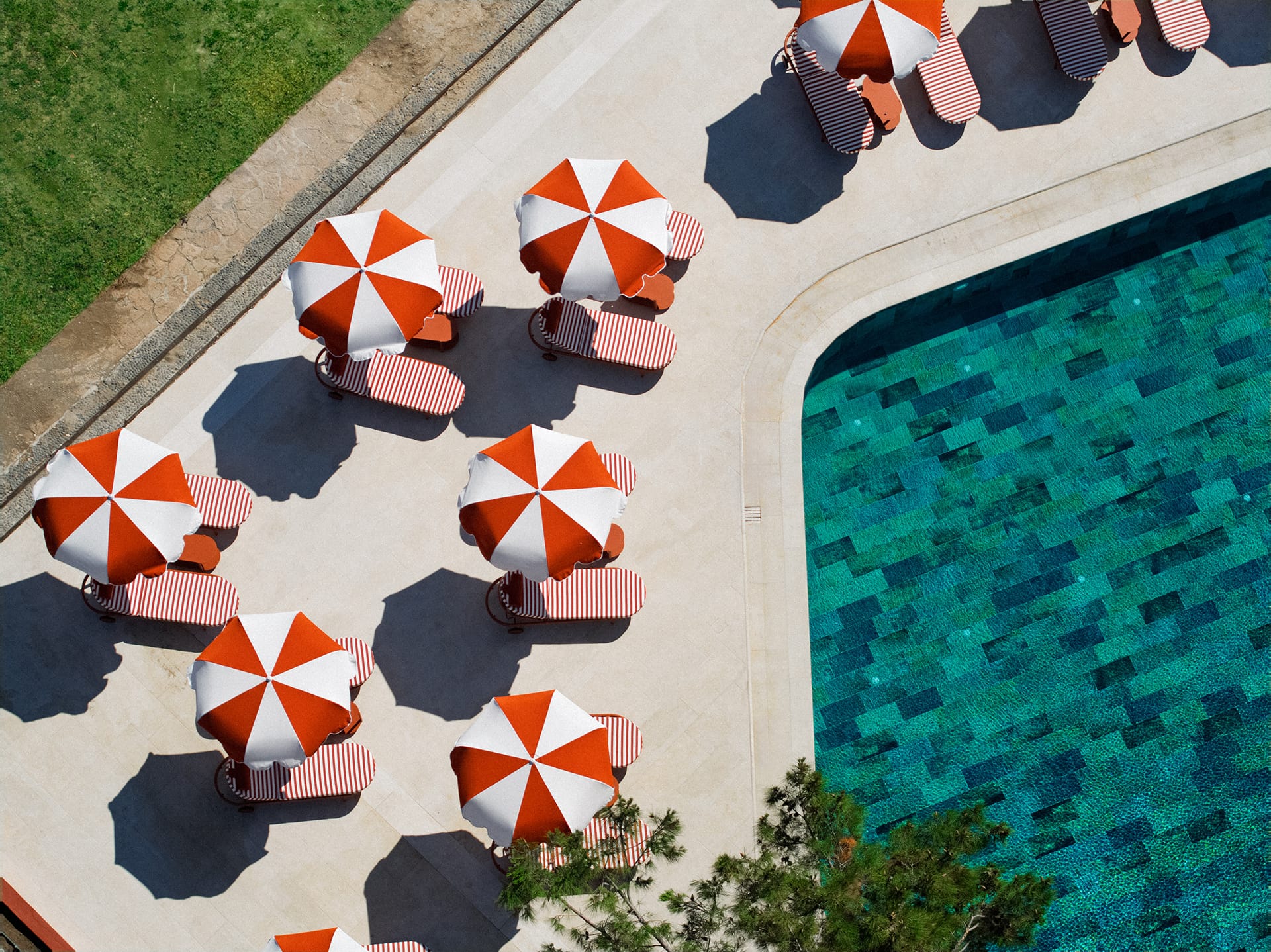 Hotel Delfinia