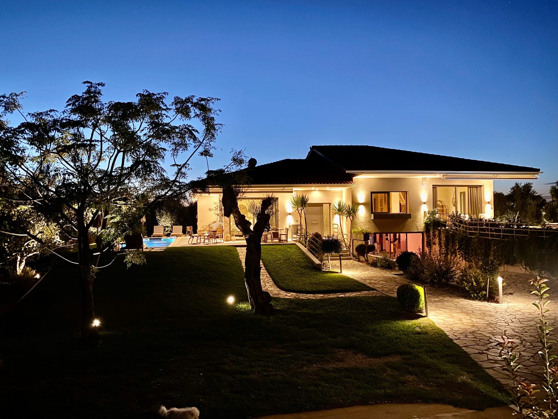 Elaia Grove