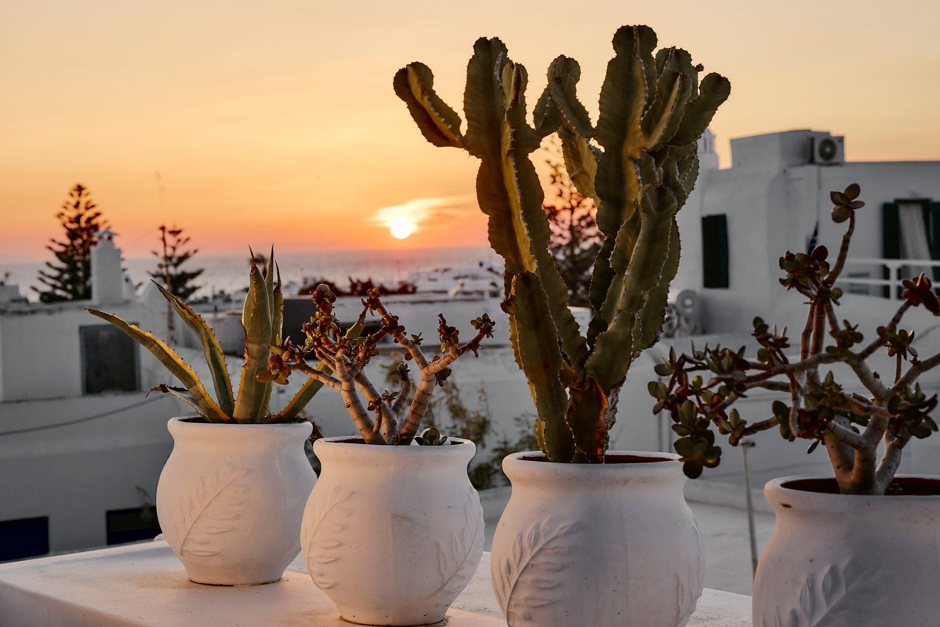 Crystal Green Suites Mykonos