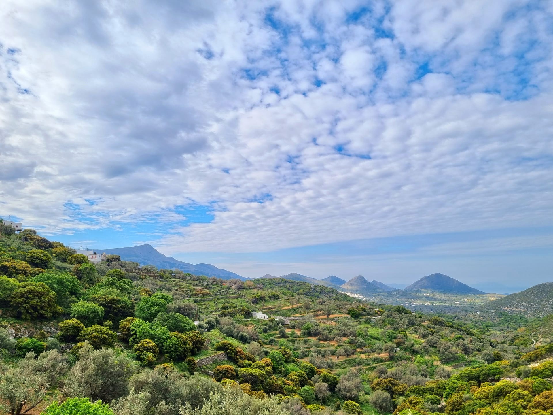 ELaiolithos