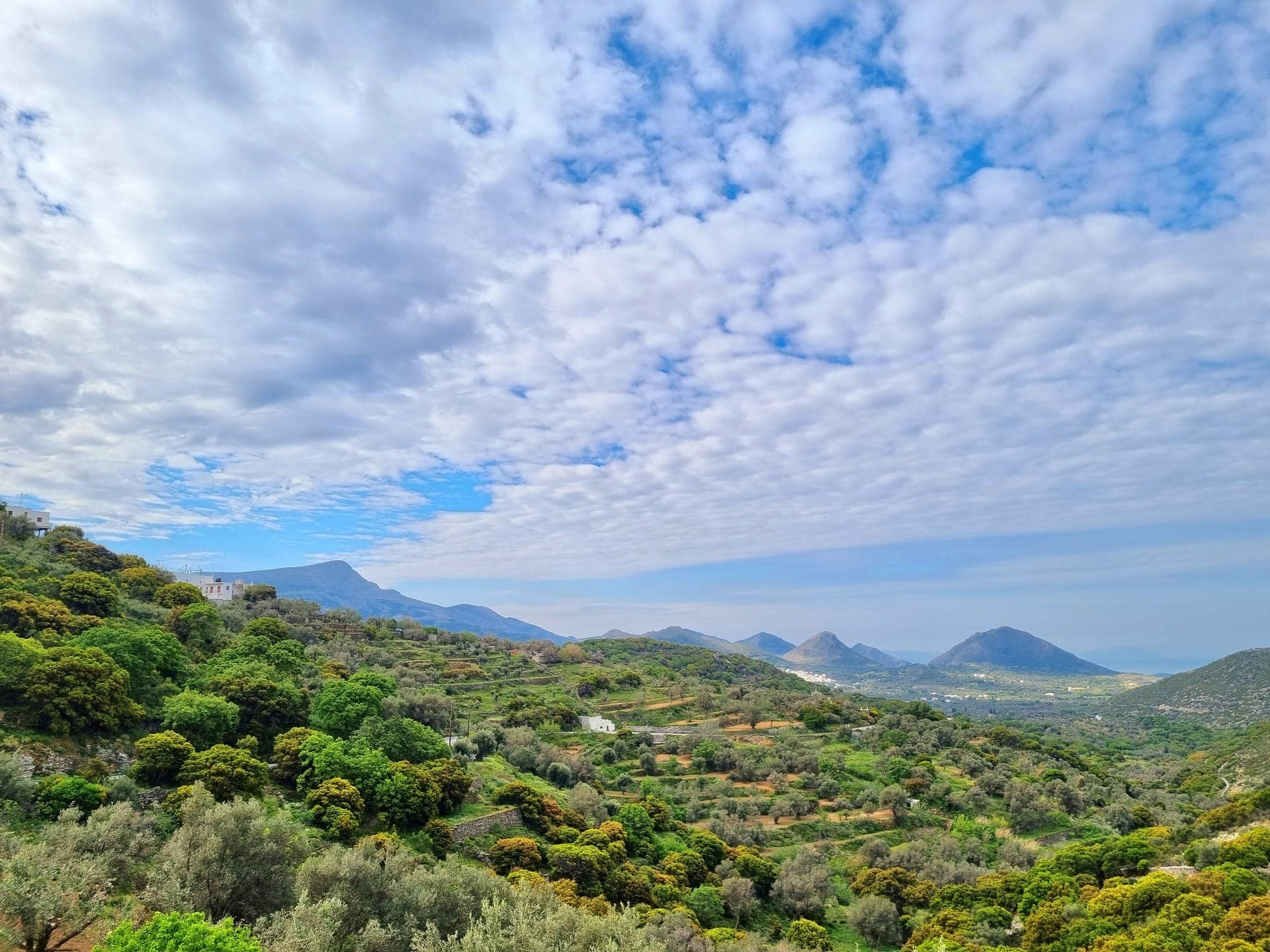 ELaiolithos