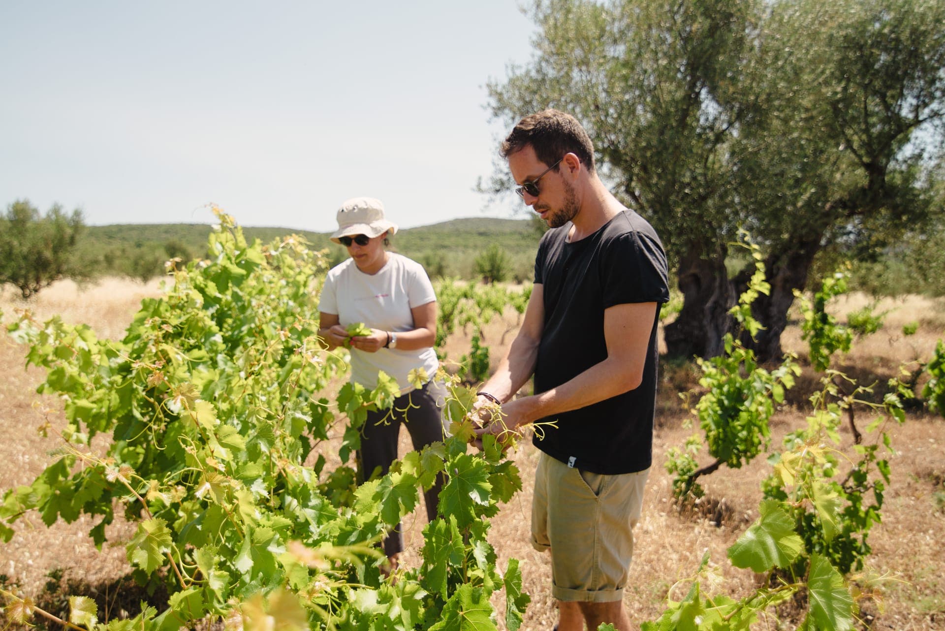 Eumelia Organic Agrotourism Farm