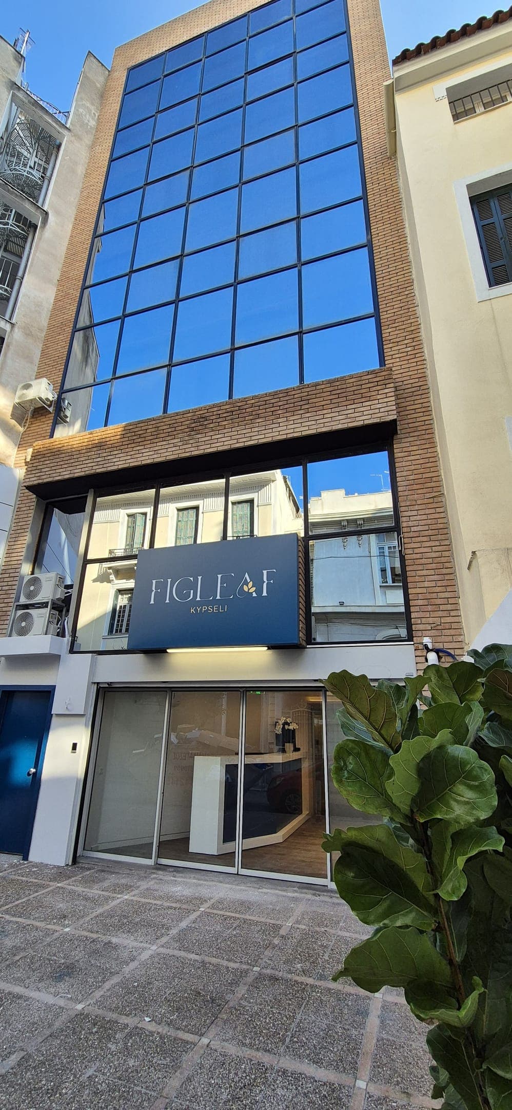 Figleaf Kypseli