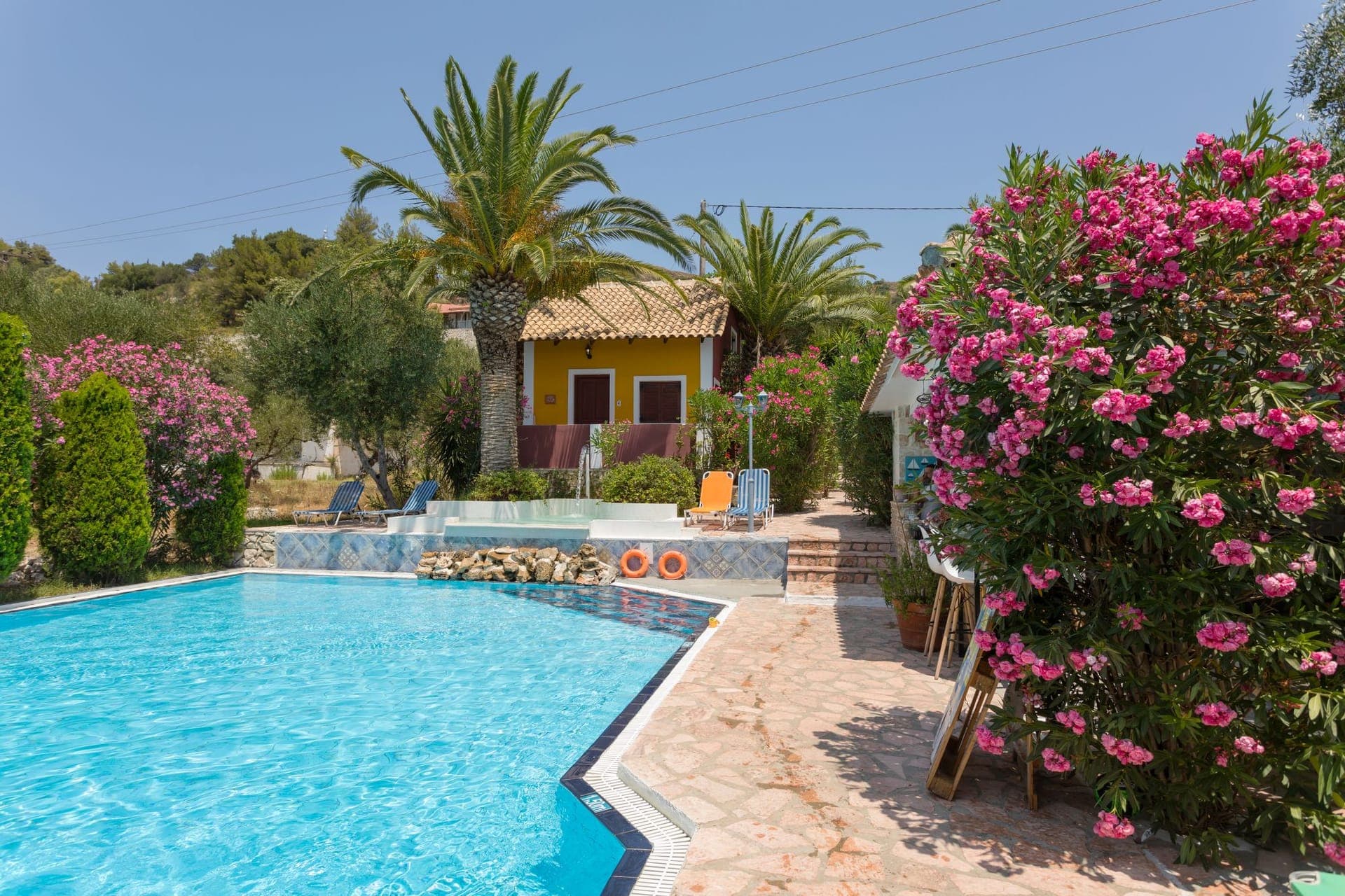 Garden of Eden Zante