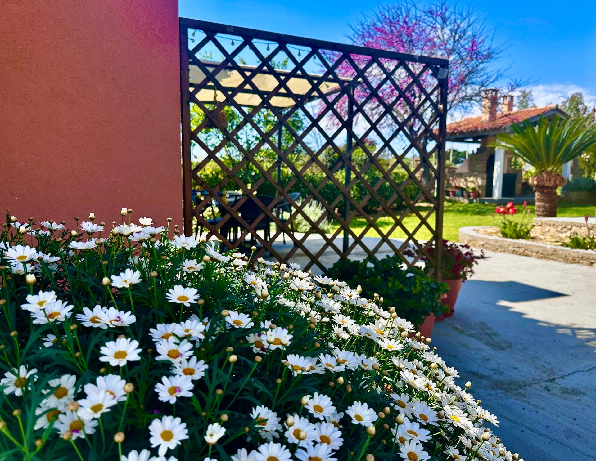 Genari Beach Apartments Ilia