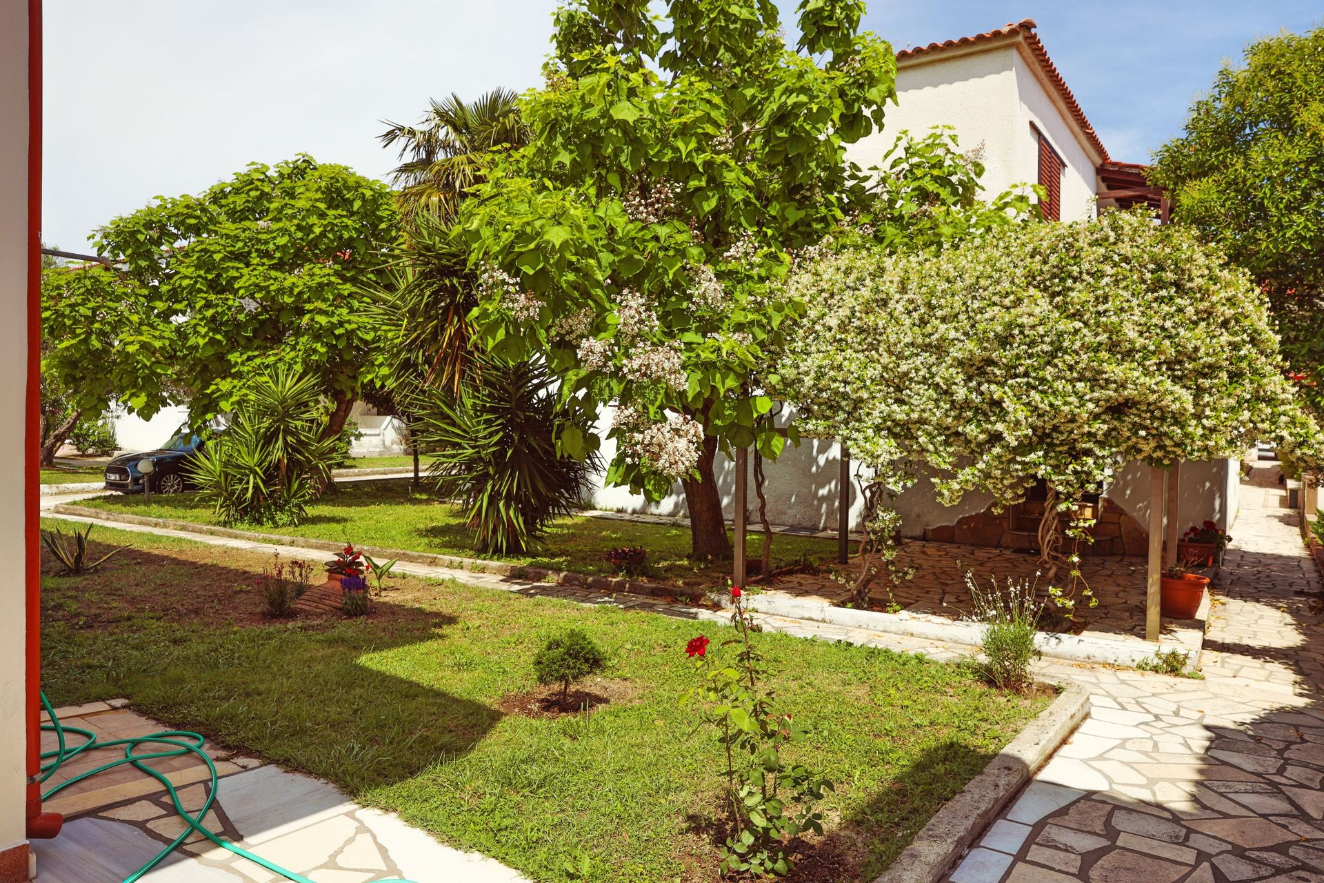 Golden Deer Apartments Fourka Chalkidiki