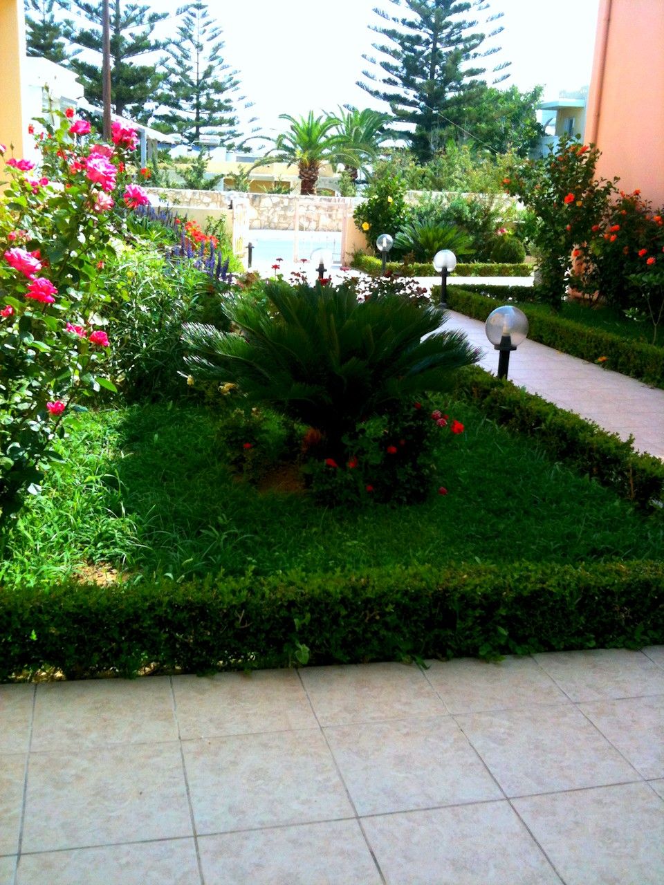 Golden Rose Suites