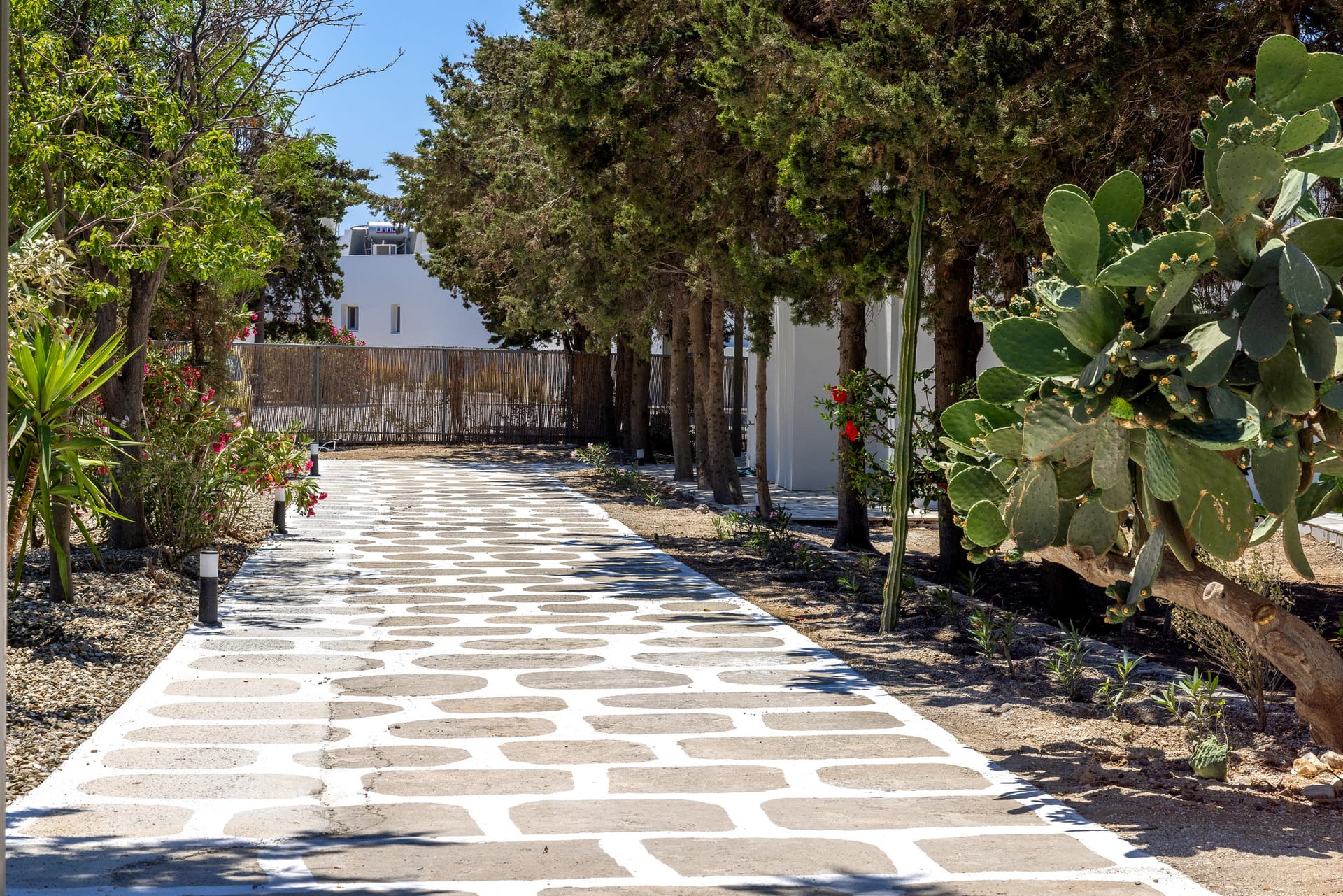 Green Dream Tinos