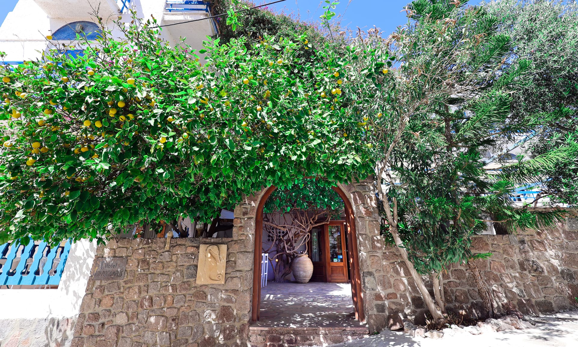 Hotel Hippocampus	Aegina