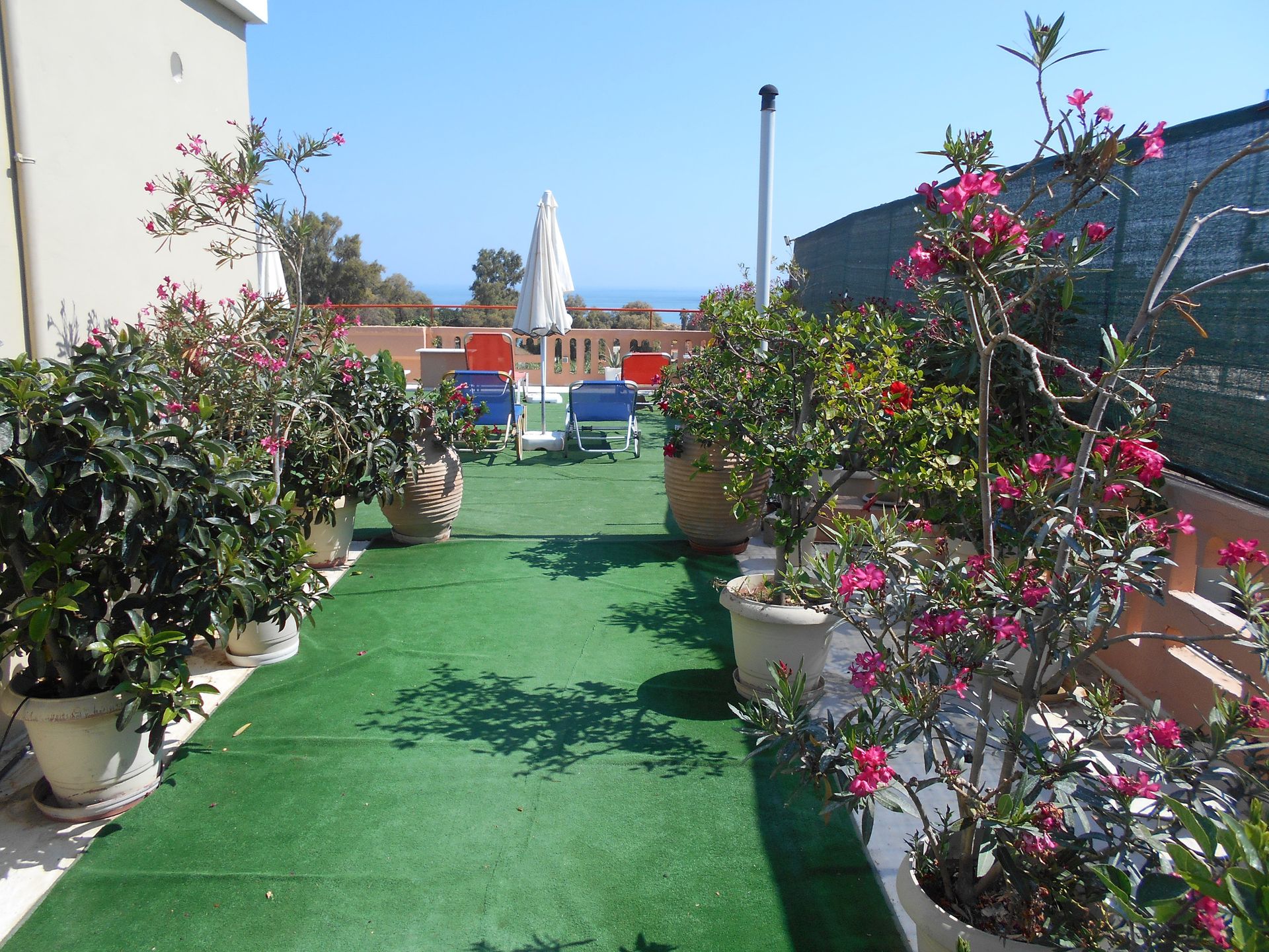 Ilona Hotel Apartments Chania