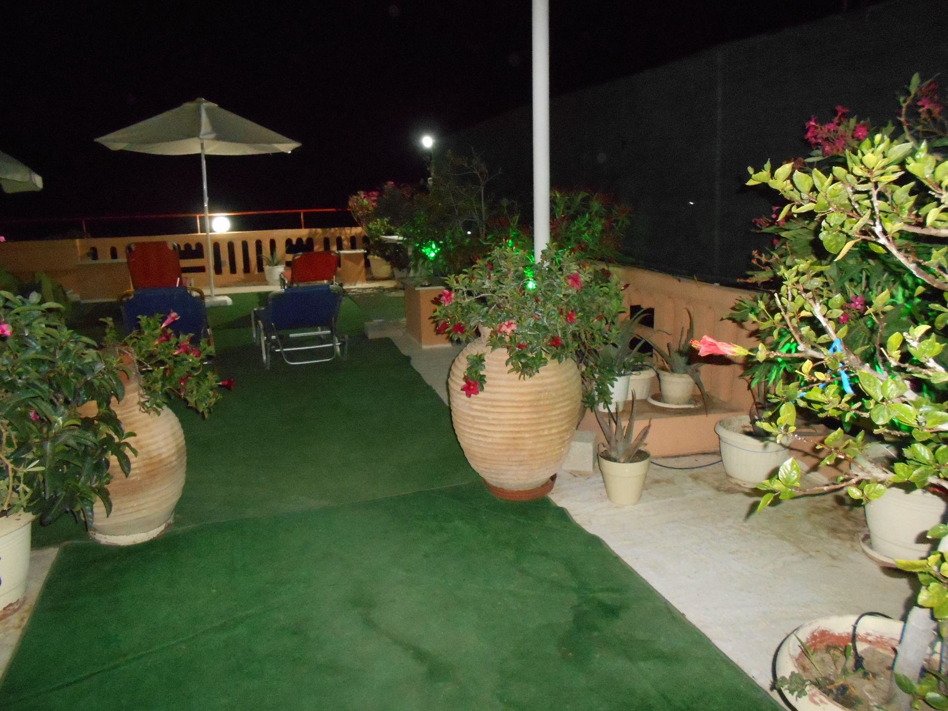 Ilona Hotel Apartments Chania