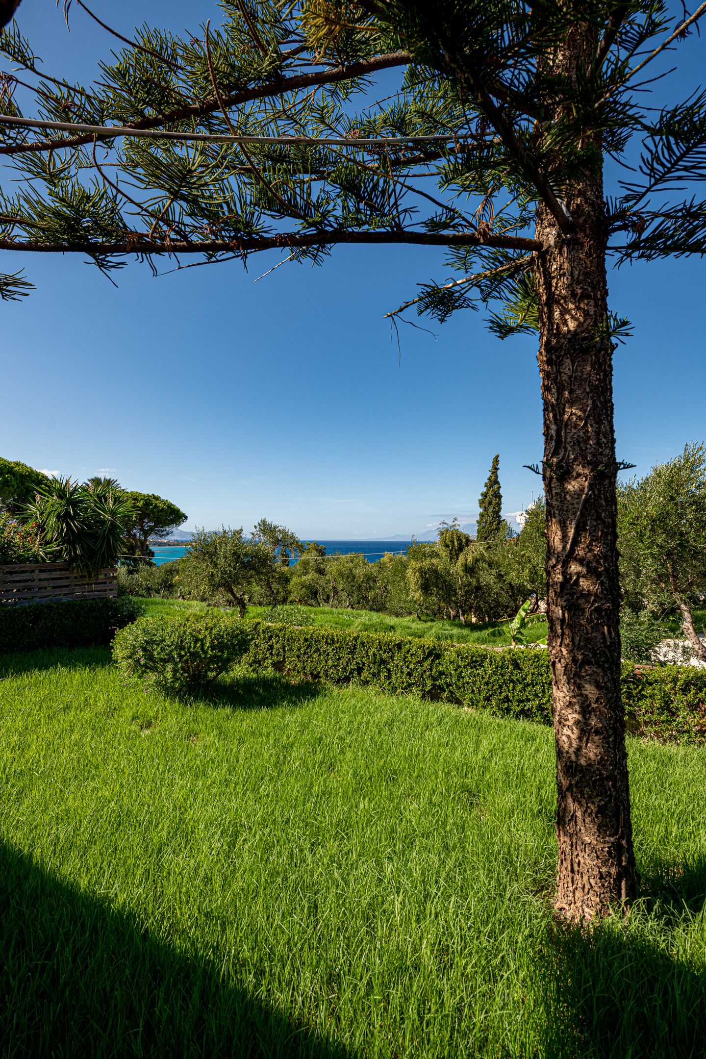 Ionian Aura Zakynthos