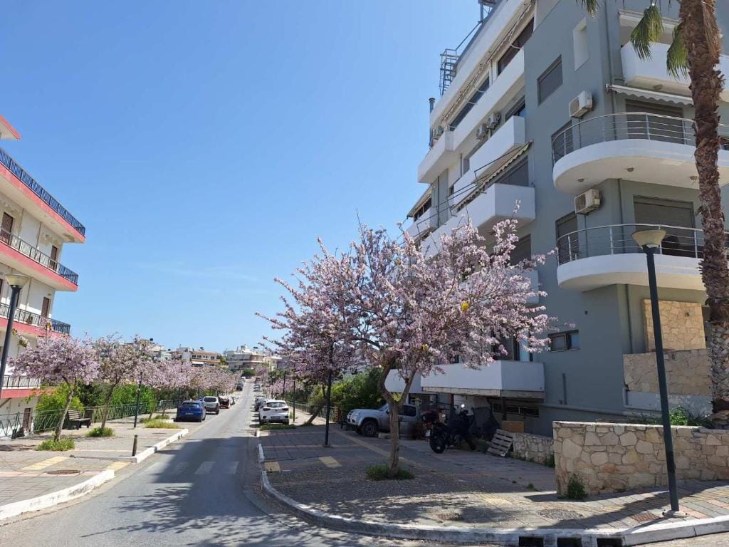 Iriana's Apartments in Center