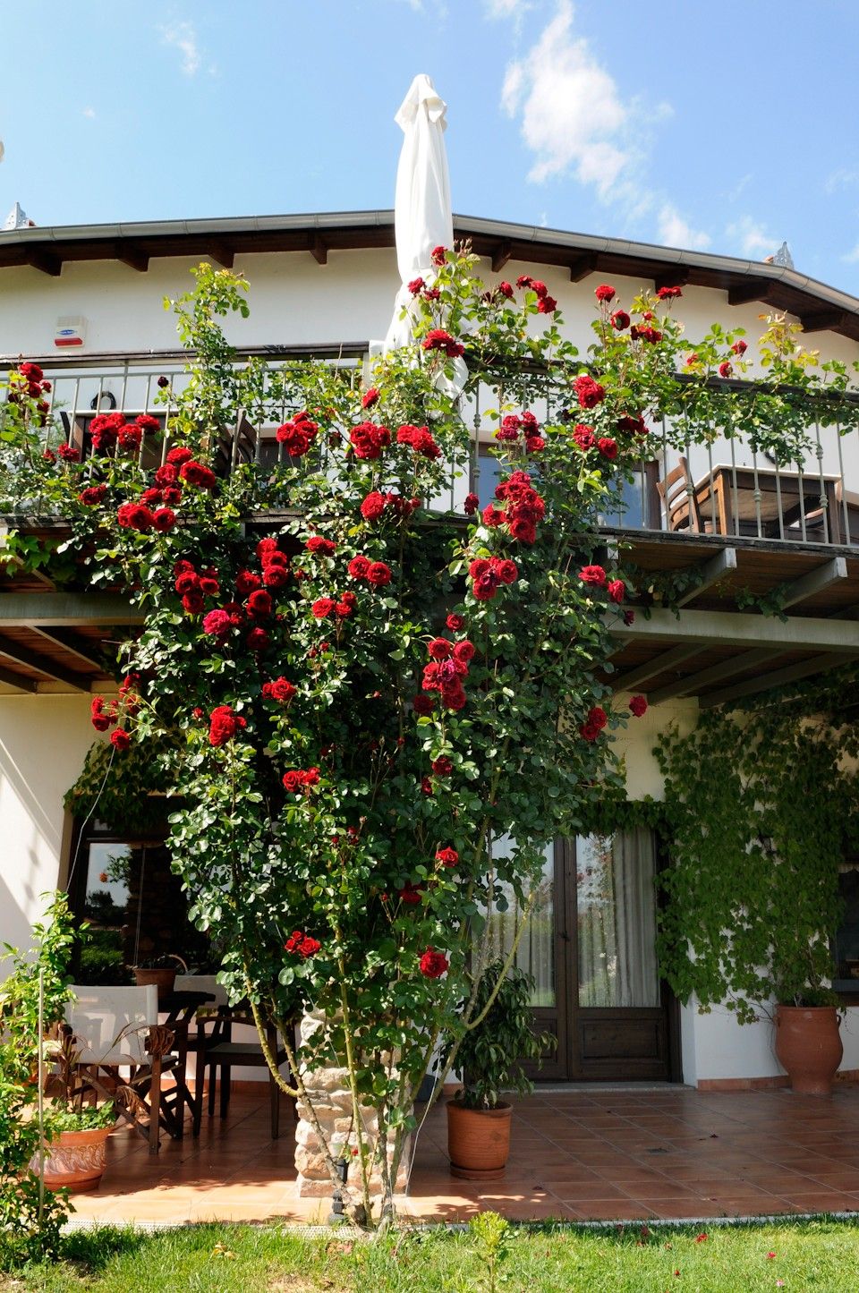 Jennifer Home Hotel