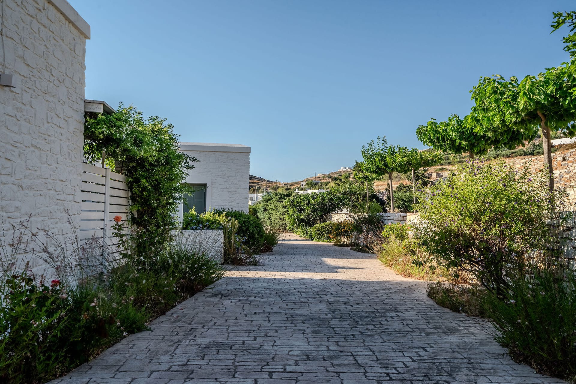 Kriolithos Houses