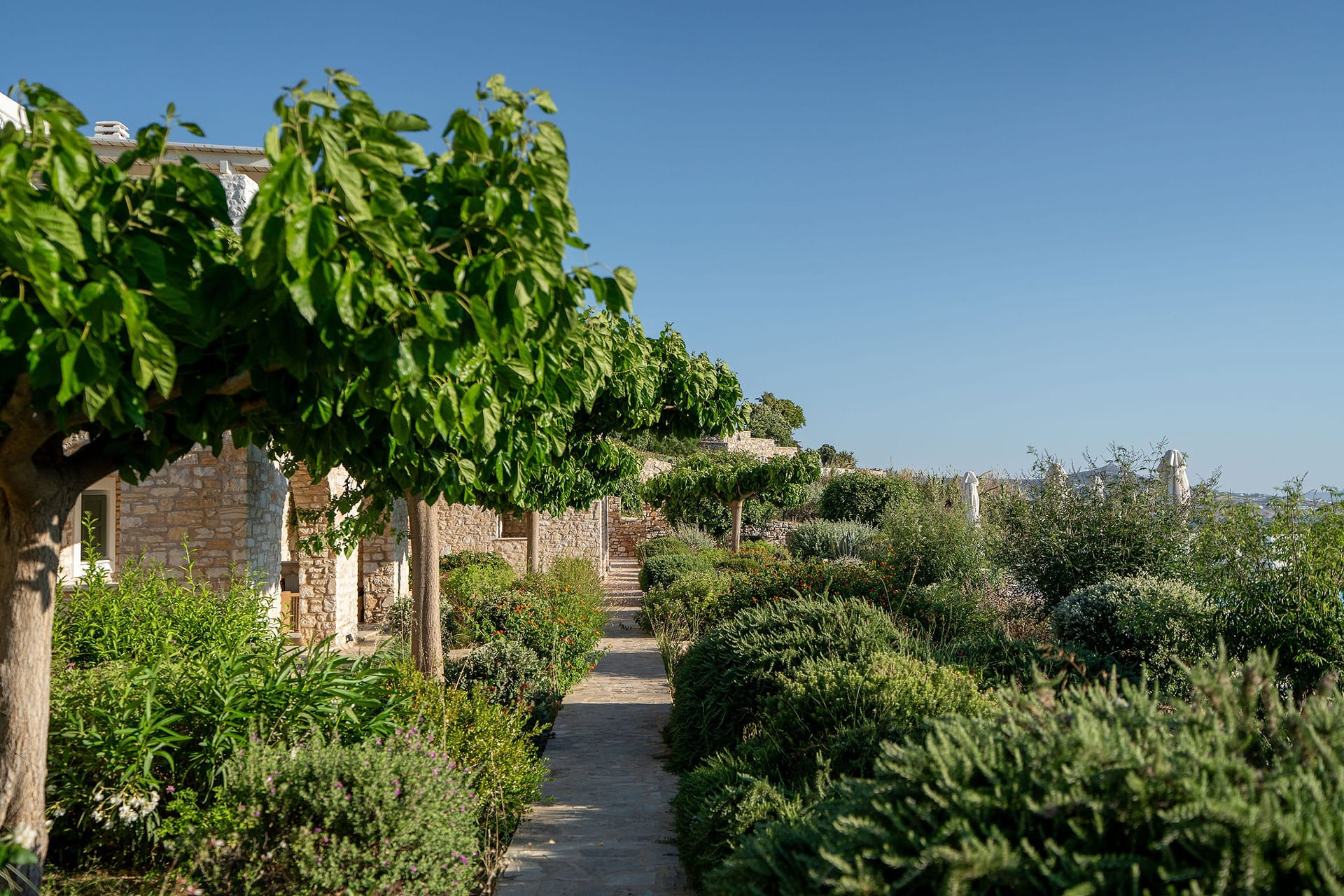 Kriolithos Houses