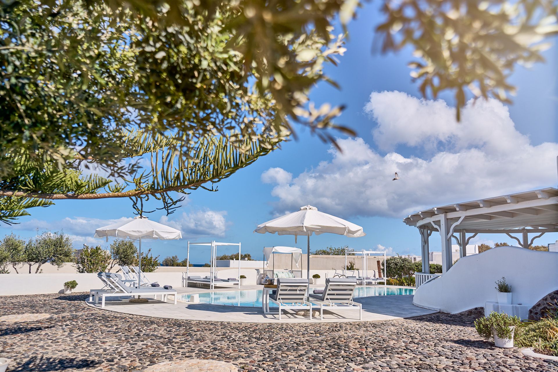 La Maison Luxurious Living
