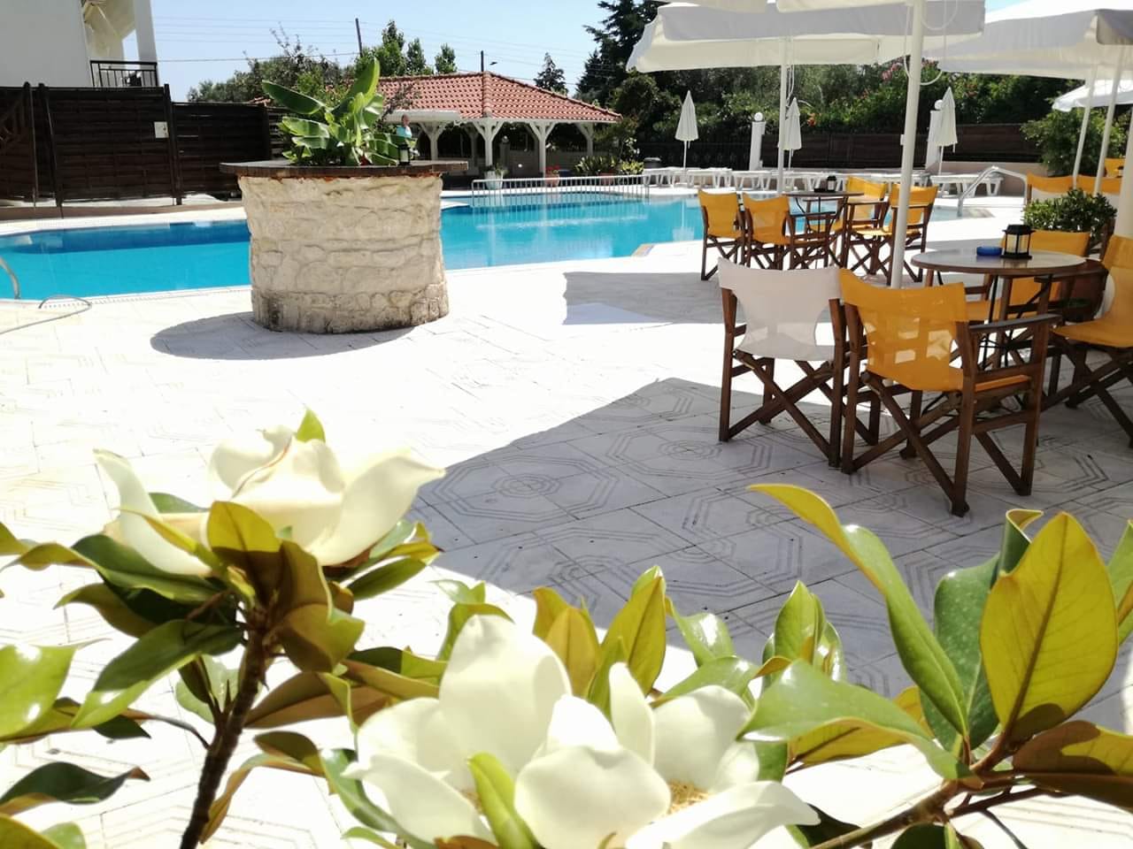 Leonidas Apartments & Suites